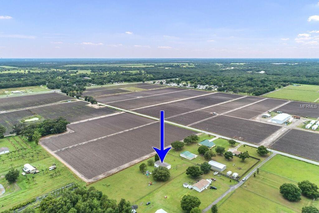 405 Jerry Smith Rd, Dover, FL 33527 photo 1