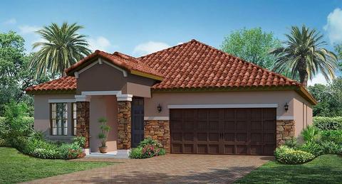 12039 Cardinal Flower Dr, Riverview, FL 33579 photo 1