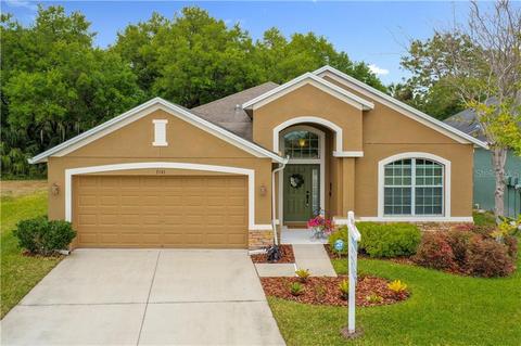 7141 Forest Mere Dr, Riverview, FL 33578 photo 1