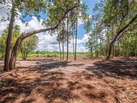 0 Pinecone Dr, Lakeland, FL 33809