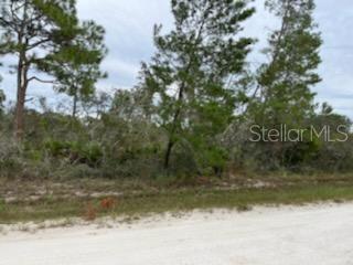 4372 Mercedes St, Sebring, FL 33872
