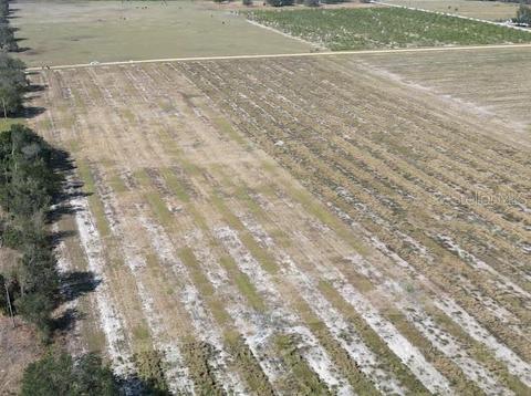 0 Angus Rd, Bartow, FL 33830