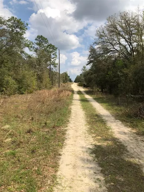 Ne 63rd Pl, Williston, FL 32696
