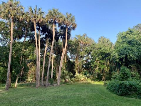 0 Avenue D, Mcintosh, FL 32664