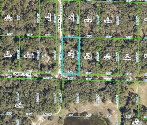 Overcup Drive, Webster, FL 33597