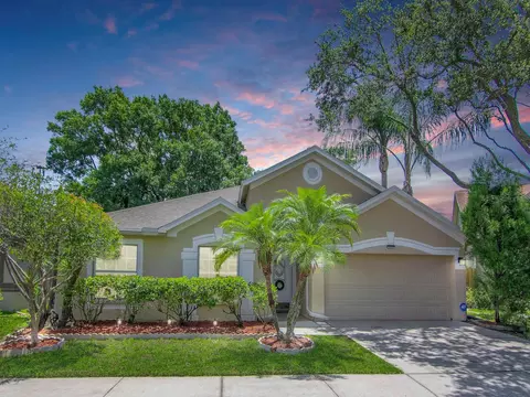 8833 Cypress Hammock Dr, Tampa, FL 33614