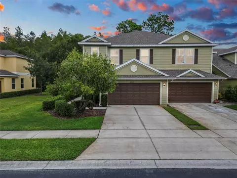 20217 Indian Rosewood Dr, Tampa, FL 33647