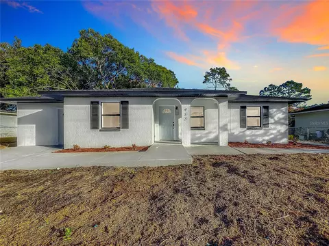 432 Bascom Ct, Polk City, FL 33868