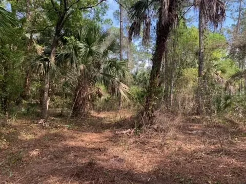 1716 Greenwood Ave, Lehigh Acres, FL 33972
