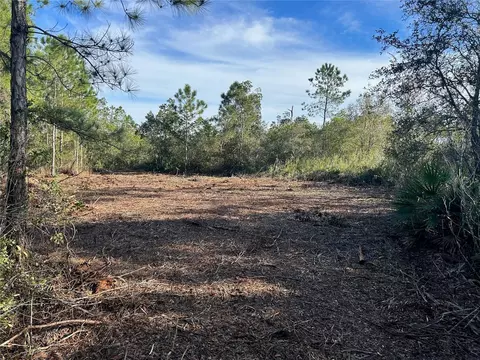 Old Grade Road, Polk City, FL 33868