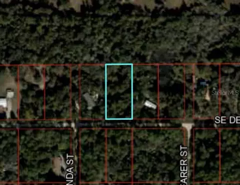 SE Debra Avenue, Inglis, FL 34449