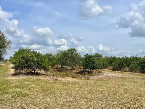 Fish Branch Road, Zolfo Springs, FL 33890