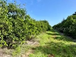 Steve Roberts Special, Zolfo Springs, FL 33890