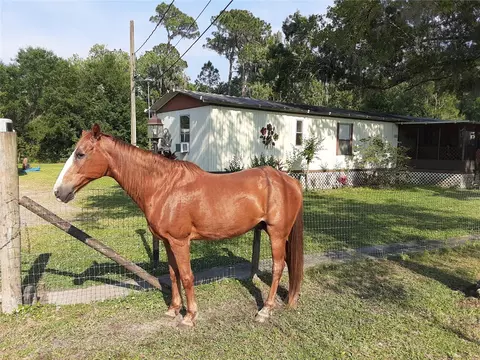 8333 Kathleen Rd, Lakeland, FL 33810