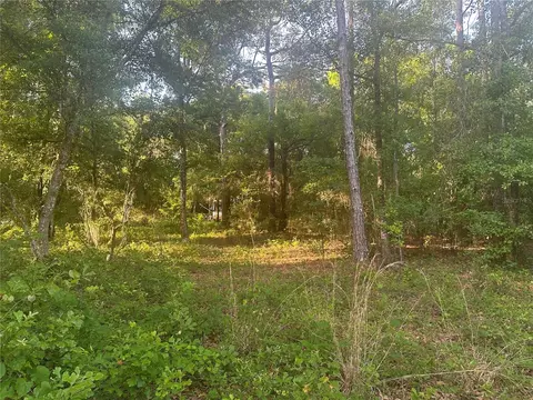 1533 Slash Pine Rd, Lakeland, FL 33809