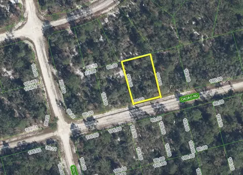3045 Cacao Rd, Lake Placid, FL 33852