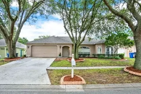 4203 Amber Ridge Ln, Valrico, FL 33594