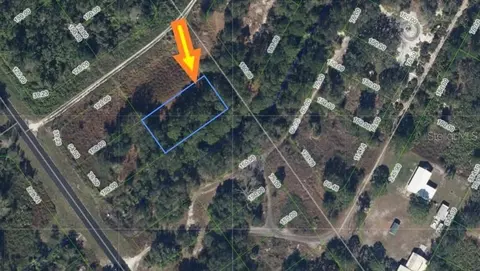 528 Bottlebrush Ave, Lake Placid, FL 33852
