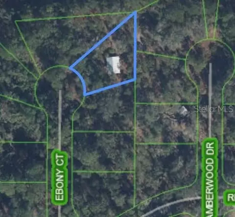 10124 Ebony Ct, Sebring, FL 33875 photo 1
