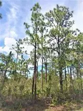 lot15 Ixora Dr, Indian Lake Estates, FL 33855