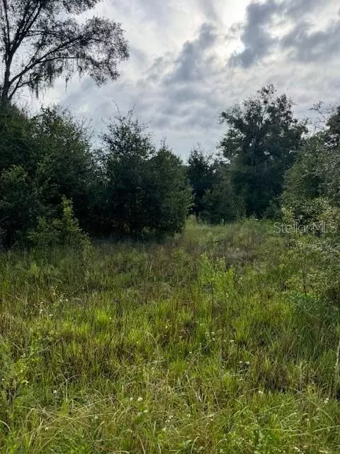 Sportsman Trail, Lakeland, FL 33809