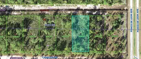 406 Camellia Dr, Indian Lake Estates, FL 33855