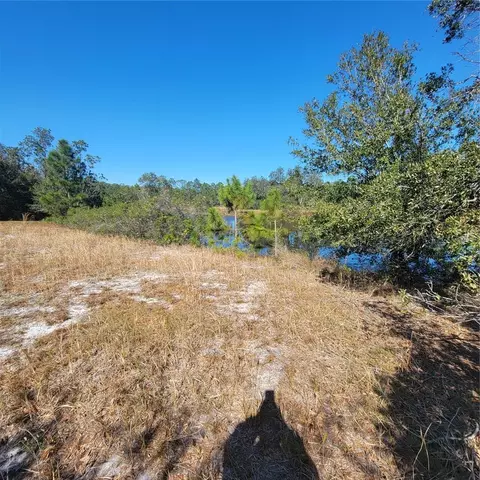 Pfundstein Road, Babson Park, FL 33827