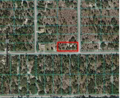 Undetermined, Dunnellon, FL 34431