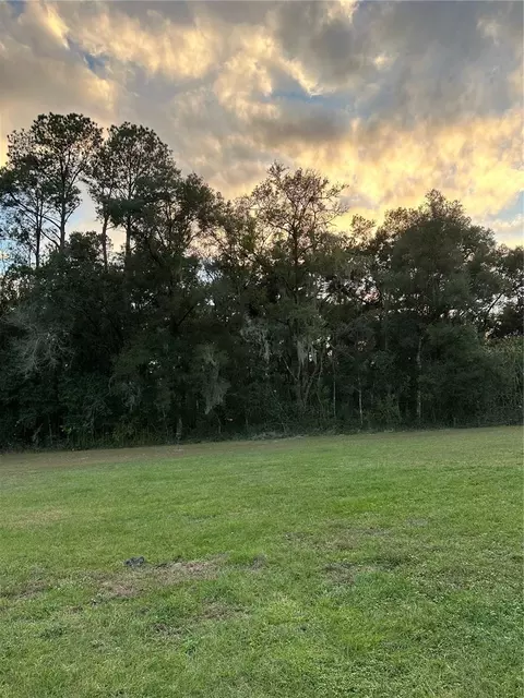 Undetermined, Citra, FL 32113