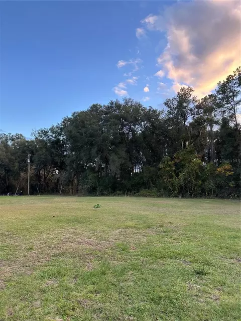 Undetermined, Citra, FL 32113 photo 2