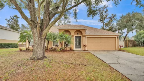 3445 Sleepy Hill Oaks St, Lakeland, FL 33810