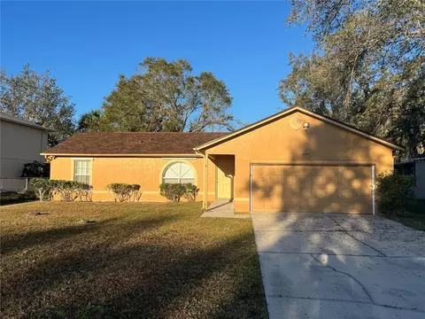 1041 Heron Ct, Kissimmee, FL 34759