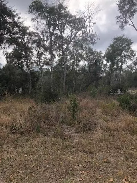 1708 N Retreat Dr, Inverness, FL 34453