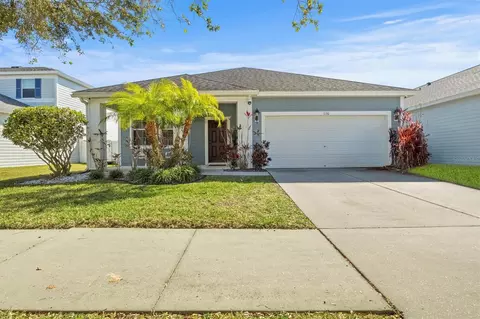 11511 Balintore Dr, Riverview, FL 33579