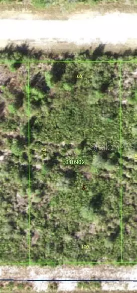 Valencia Drive, Indian Lake Estates, FL 33855