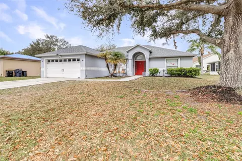 423 Lark Ct, Kissimmee, FL 34759