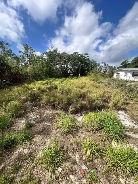 Carson Avenue, Babson Park, FL 33827