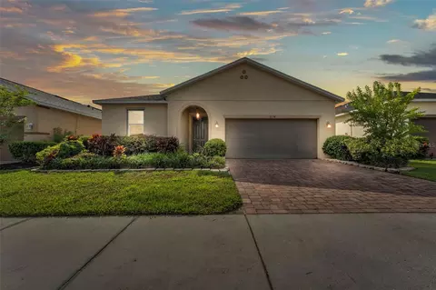 3134 Macintosh Rd, Land O Lakes, FL 34639