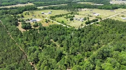 1875 Oak View Farms, Osteen, FL 32764