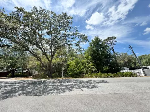 Walt Williams Road, Lakeland, FL 33809