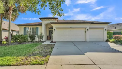 15706 Starling Water Dr, Lithia, FL 33547