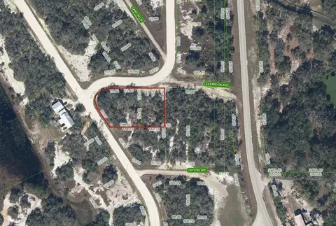 231 Lakeland Dr, Lake Placid, FL 33852