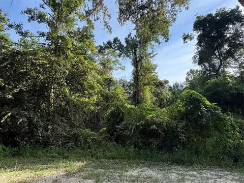 Barth Road, Dade City, FL 33523