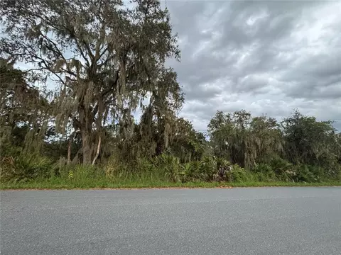 0 Gabriel Rd, Fort Meade, FL 33841