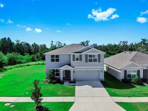 3293 Silver Date Dr, Wimauma, FL 33598 photo 1