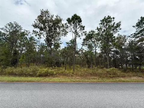Nw Amberjack Avenue, Dunnellon, FL 34431