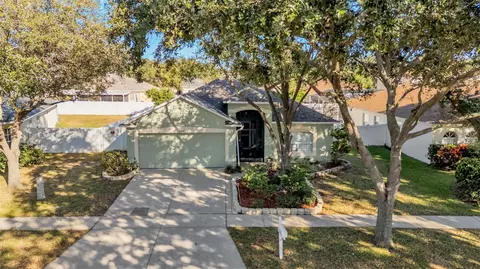 2729 Pankaw Ln, Valrico, FL 33596