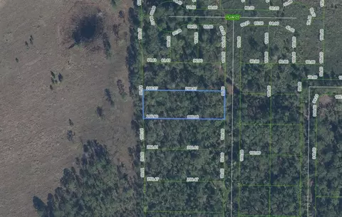 4705 Rhubarb St, Sebring, FL 33875