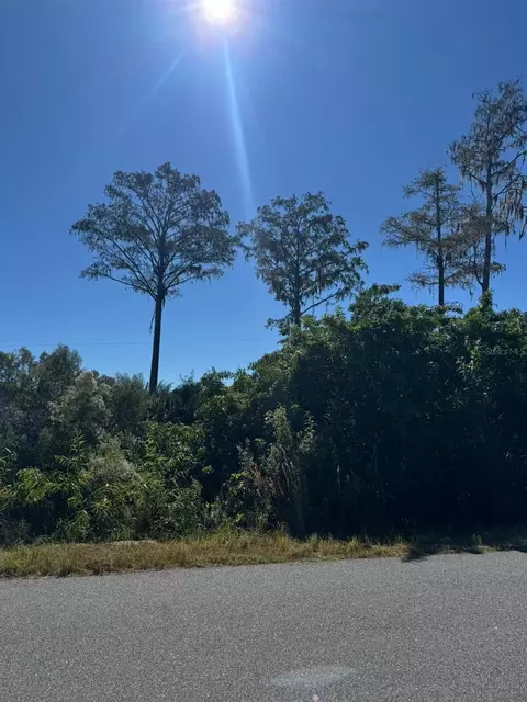 1450 Towton St SE, Palm Bay, FL 32909