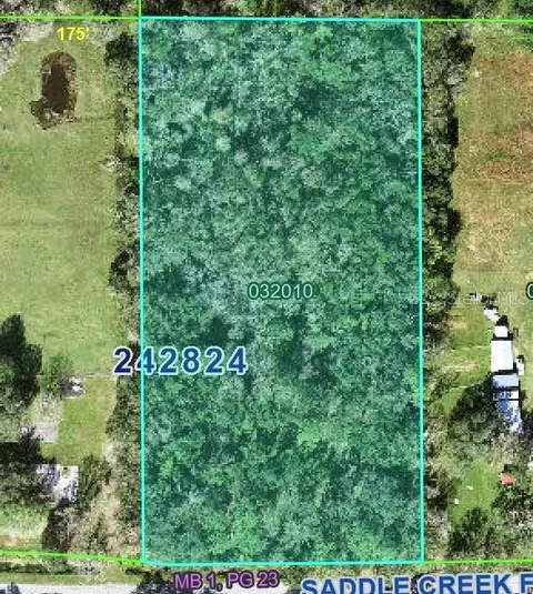 4520 E Saddle Creek Farm Rd, Lakeland, FL 33801